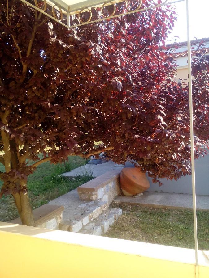 Studios Στουσ Πυργουσ Θερμησ Mytilíni Zewnętrze zdjęcie